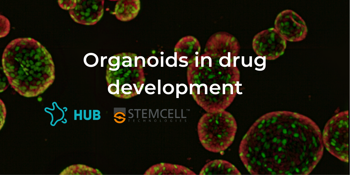 Ask the experts - organoids in drug development