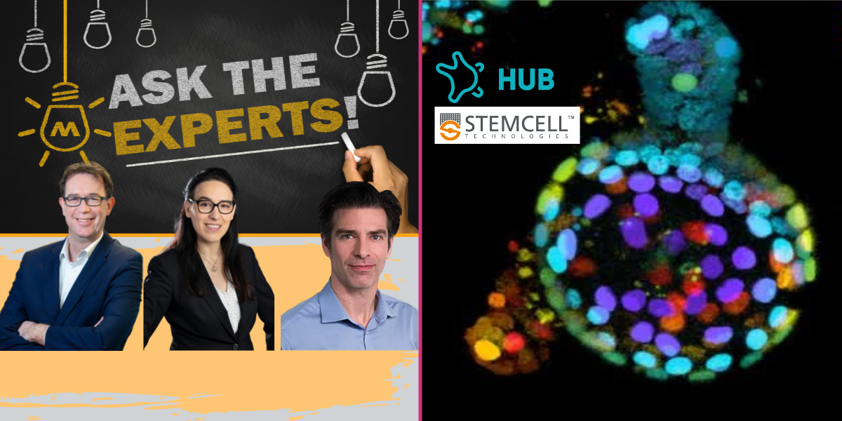 Ask the experts - organoids for viral infection studies