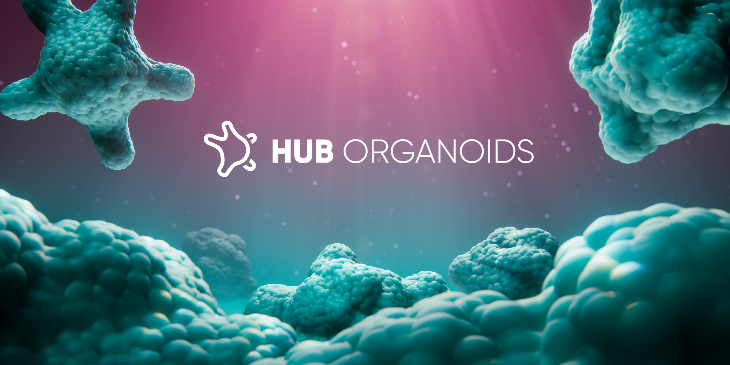 Ask the experts - organoids as model systems