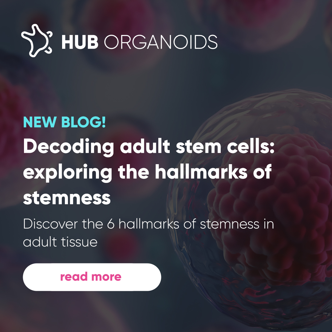 Decoding adult stem cells: exploring the hallmarks of stemness