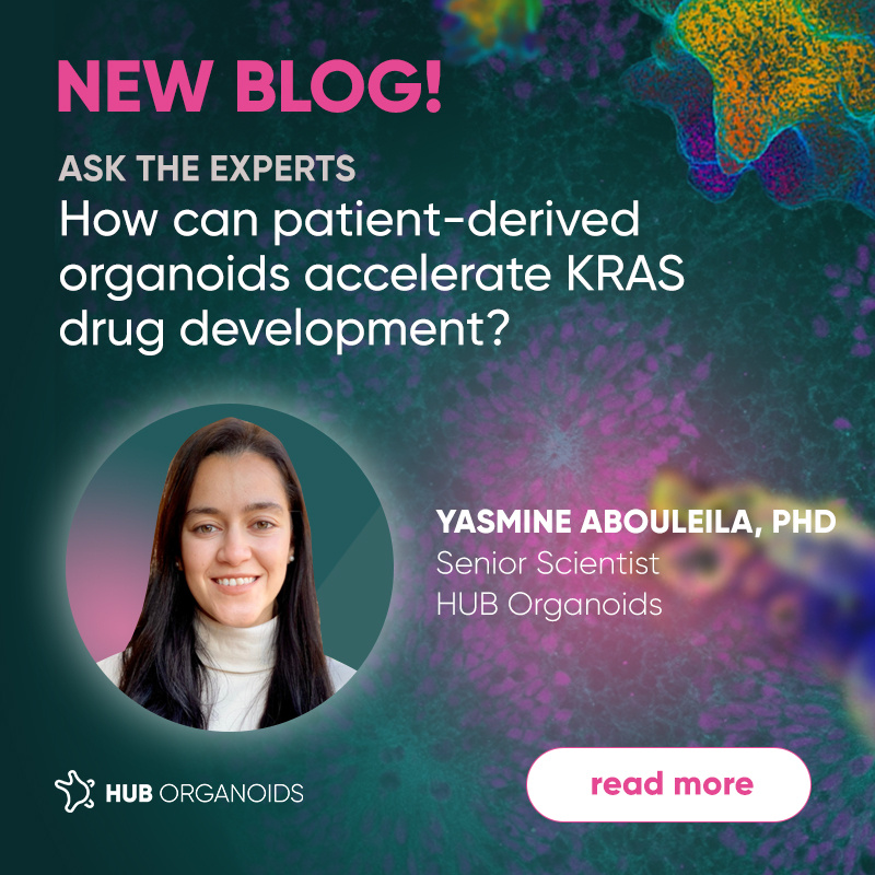 Ask the Expert: How can patient-derived organoids accelerate KRAS drug development?