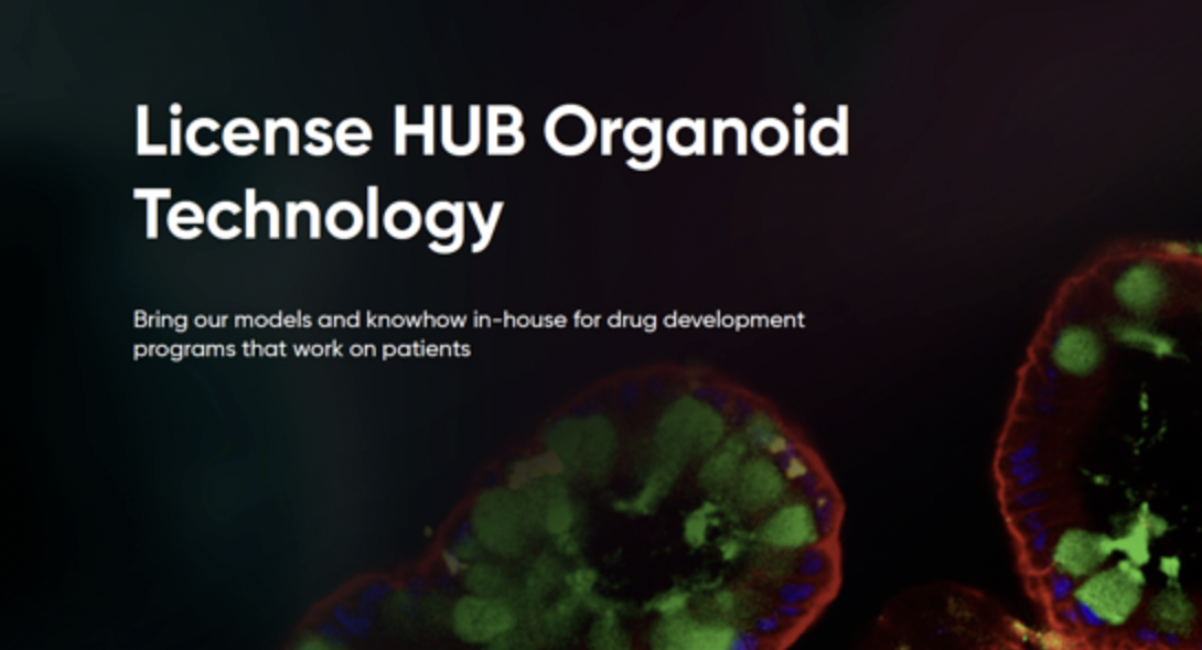 Want to license with HUB Organoid Technology?